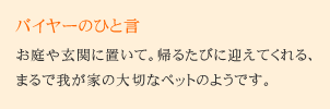 �o�C���[�̂Ђƌ�
