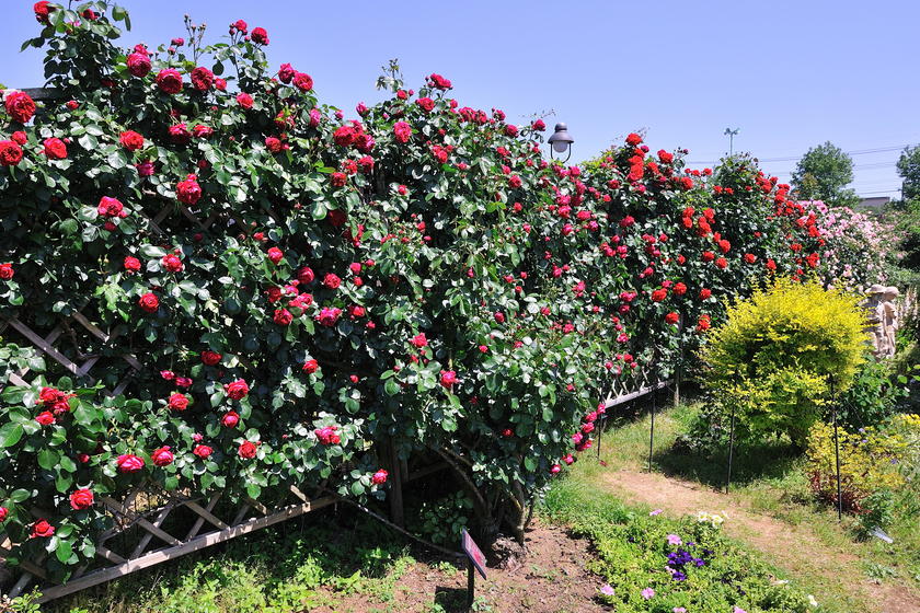 DSC_1711.jpg