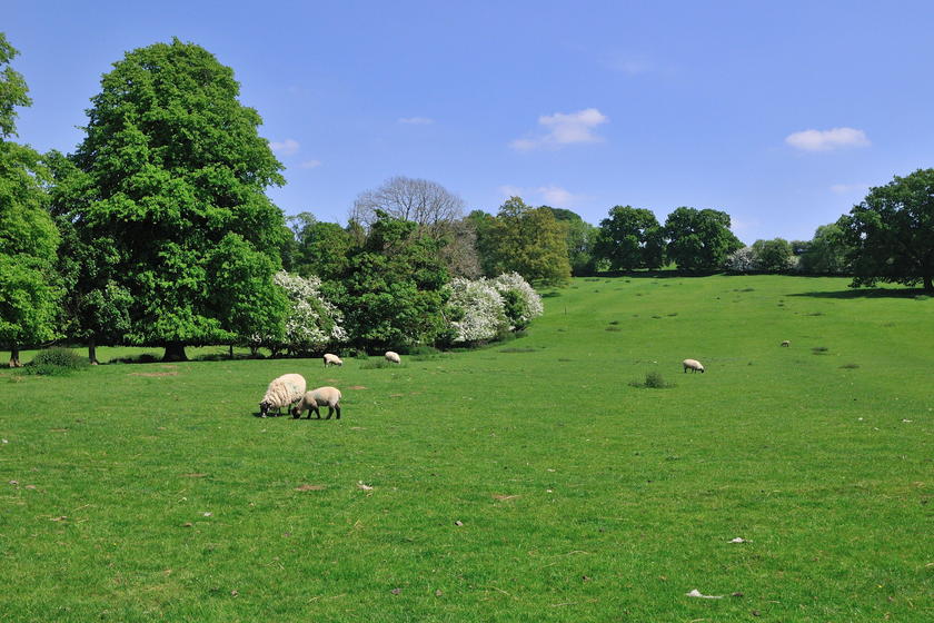 DSC_7760.jpg