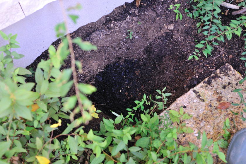 DSC_2960.jpg