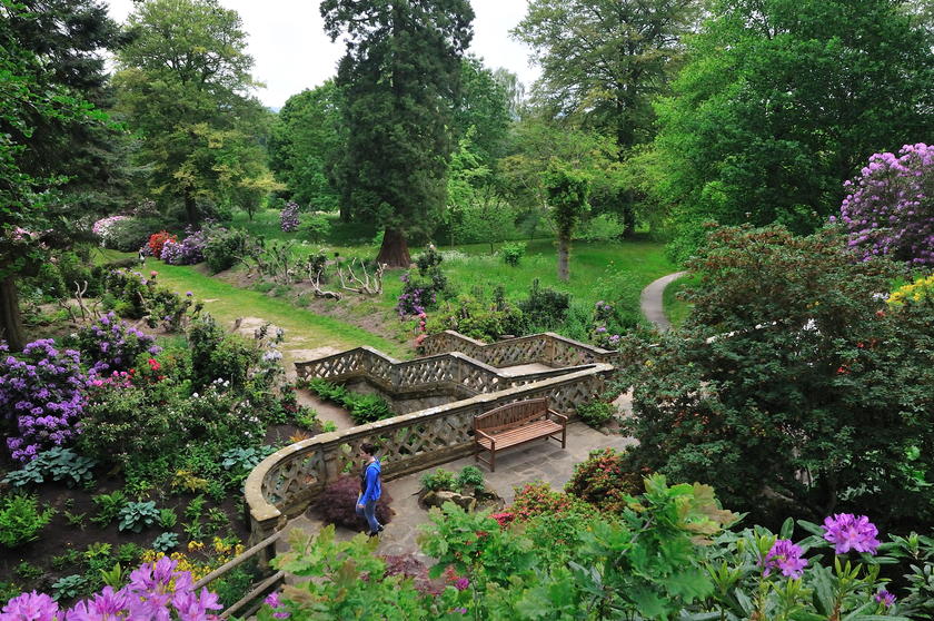 DSC_9548.jpg