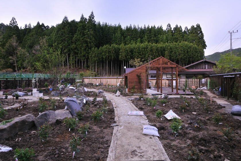 DSC_8791.jpg
