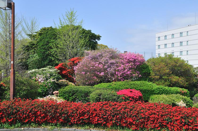 DSC_1404.jpg
