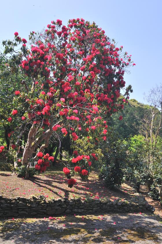 DSC_2057.jpg