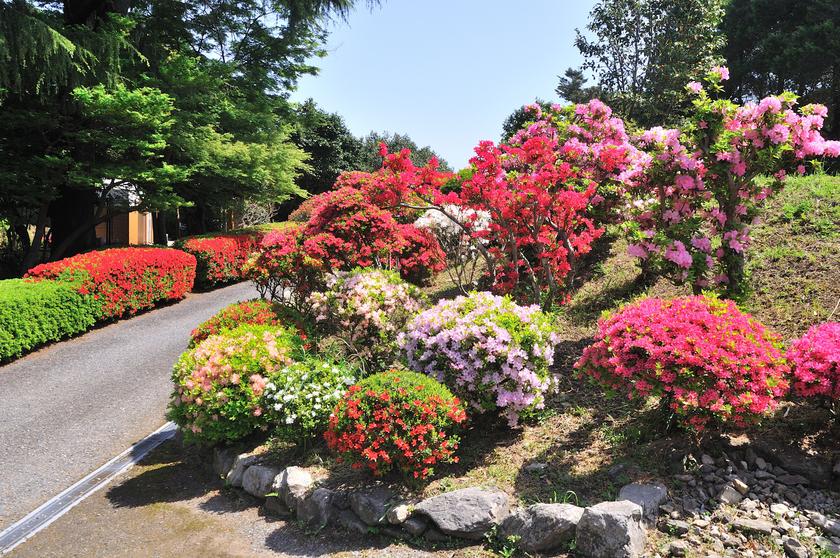 DSC_2058.jpg