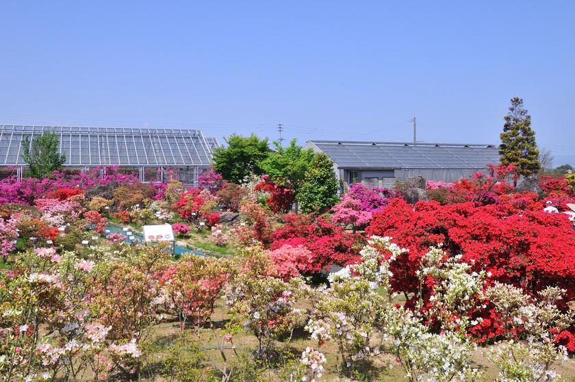 DSC_1965.jpg