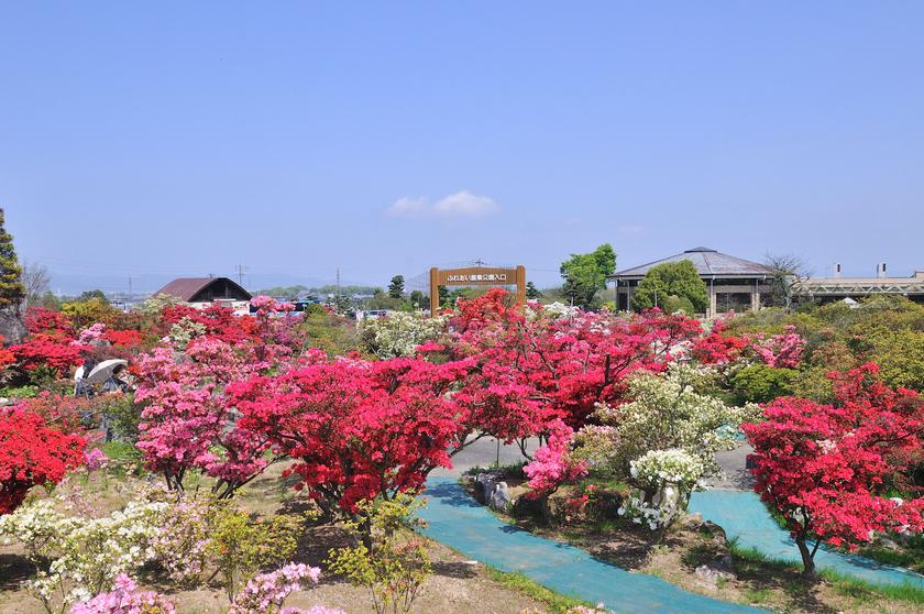 DSC_1967.jpg
