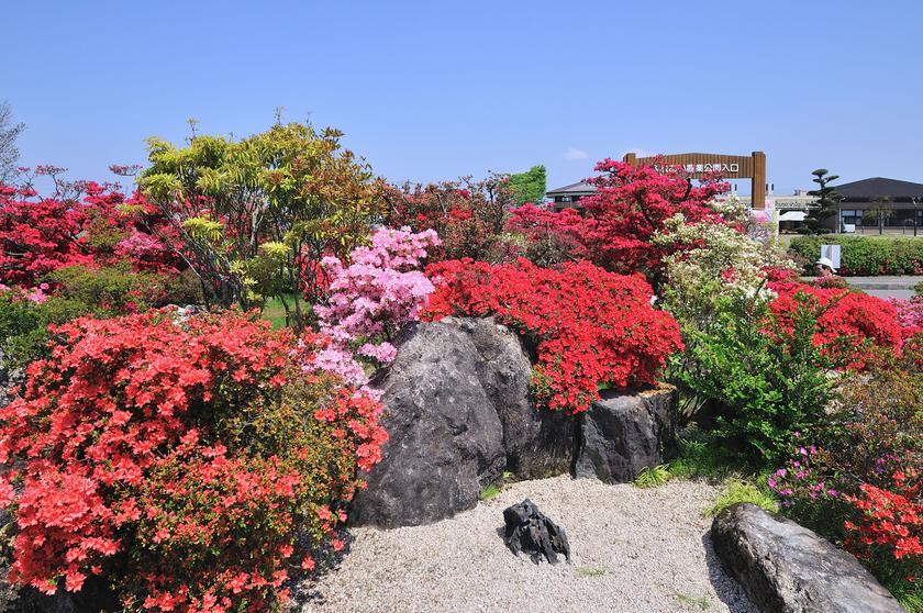 DSC_2039.jpg