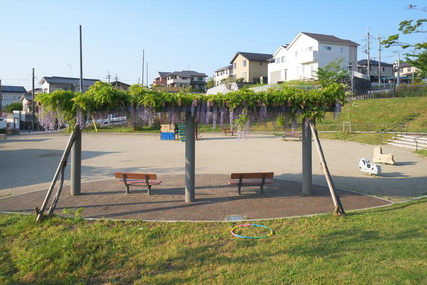 DSC01214.jpg