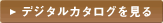 �f�W�^���J�^���O������