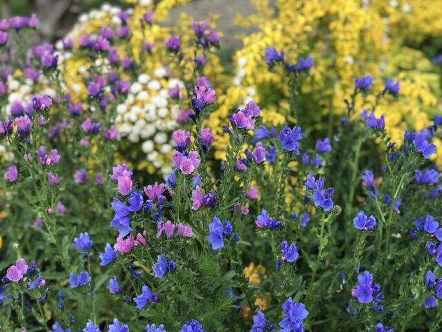 IMG_8076.jpeg