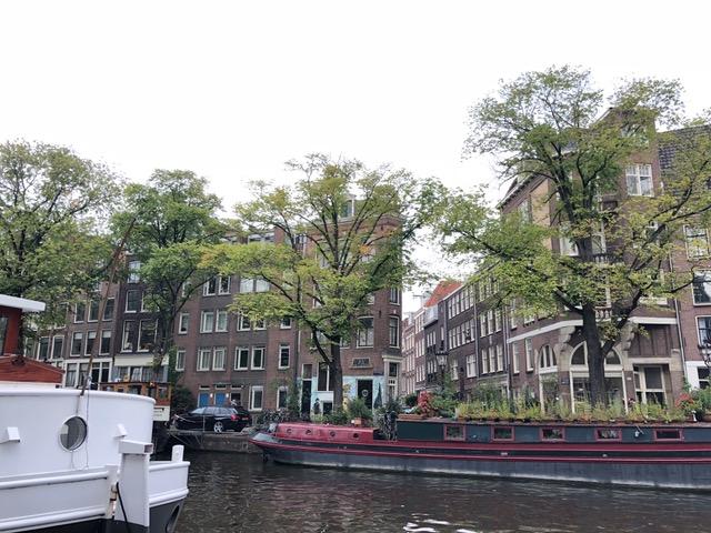 IMG_7798.jpeg