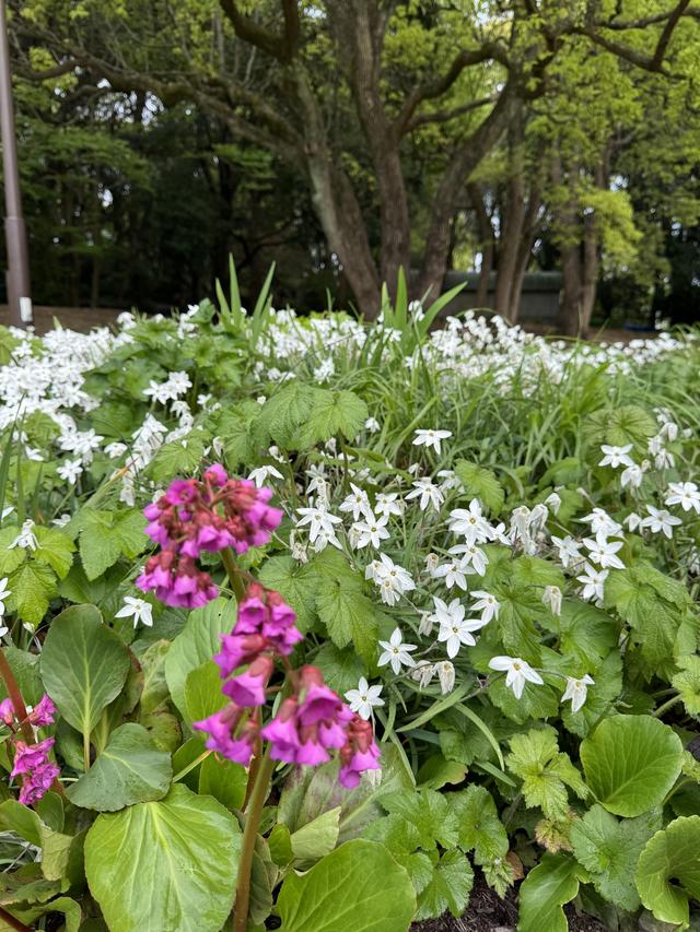 IMG_0232.jpeg