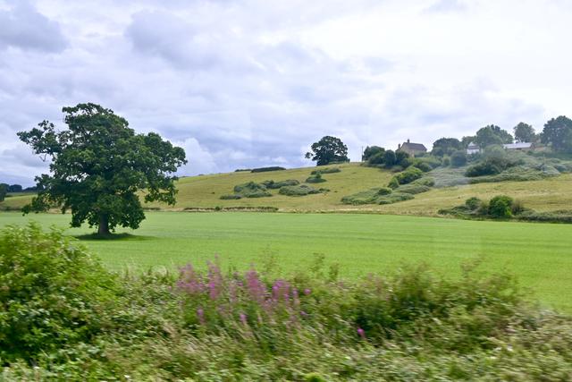 DSC_1662.JPG