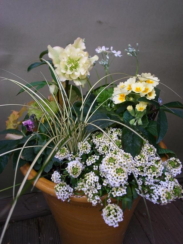 R0012855.JPG