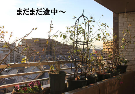 ★1.jpg