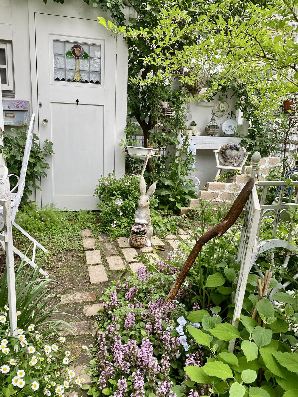 小屋うさぎ
