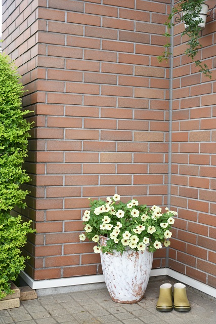 DSC_8051.JPG