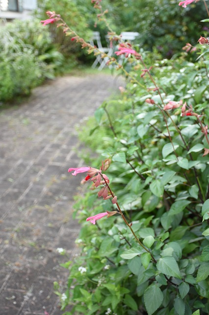 DSC_8221.JPG