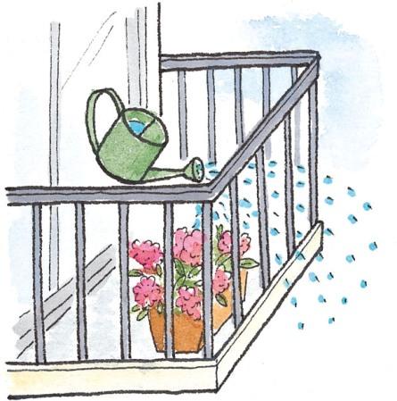 veranda06_il004.jpg