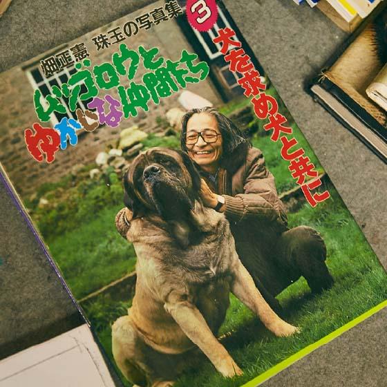 畑 正憲さんイメージ